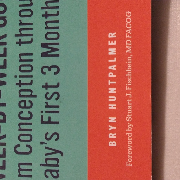 The First Time Pregnancy Handbook - Picture 2 of 9